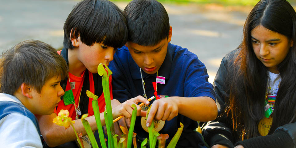 Kids dissecting a pitcher plant